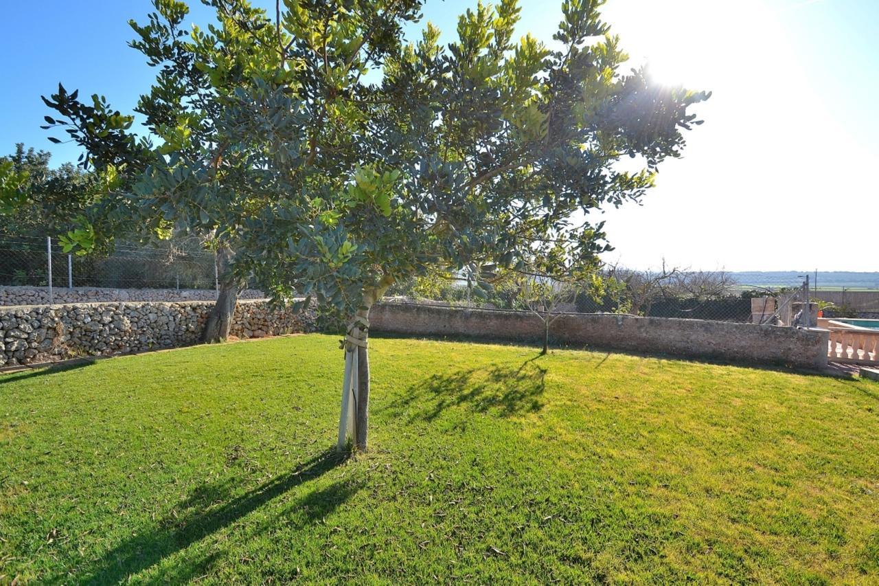 078 Finca Sa Rota Vt1953 By Mallorca Charme Ariany Dış mekan fotoğraf